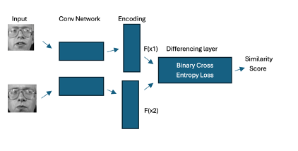 One-shot Similarity Learning